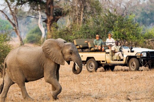 8 Day Luxury Air Safari