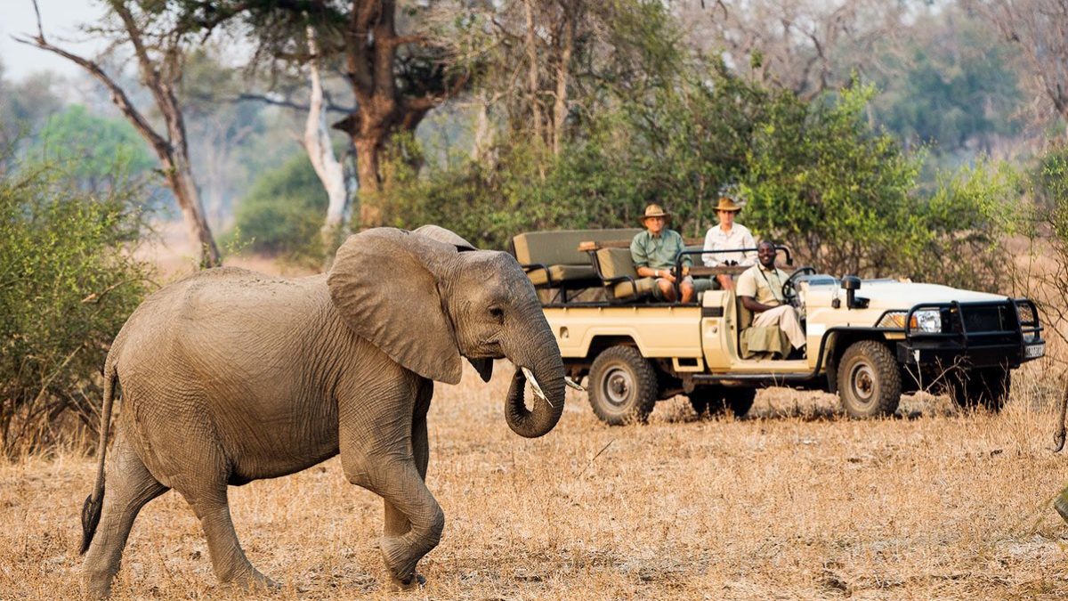 8 Day Luxury Air Safari