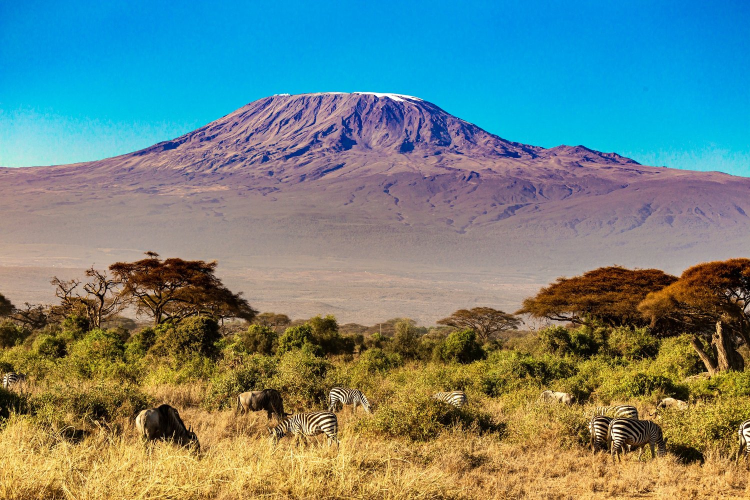 6 Days Mays Migration Safari