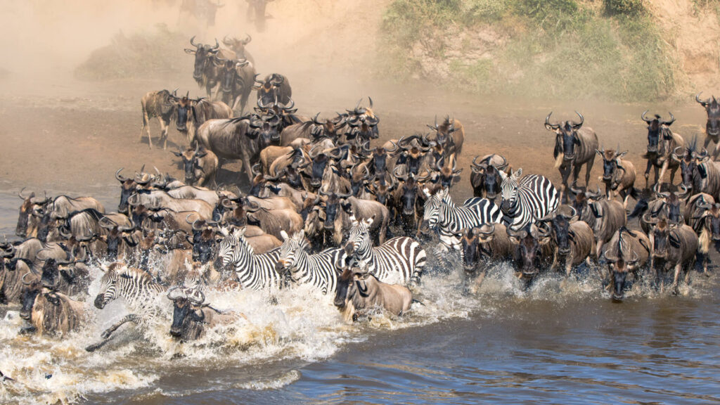 Great Migration